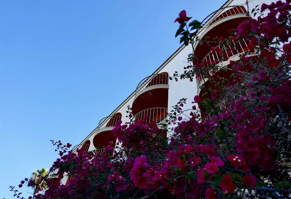 Golden Sails Hotel 롱비치 시설 사진